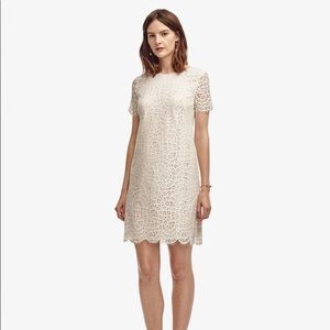 Ann Taylor winter white lace t-shirt dress